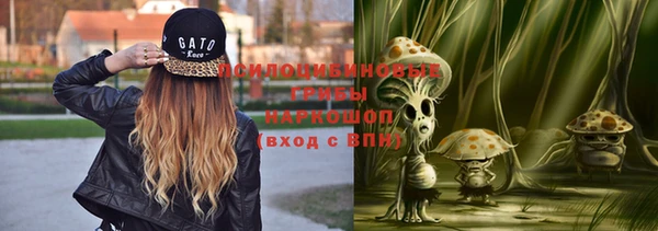 таблы Богородицк