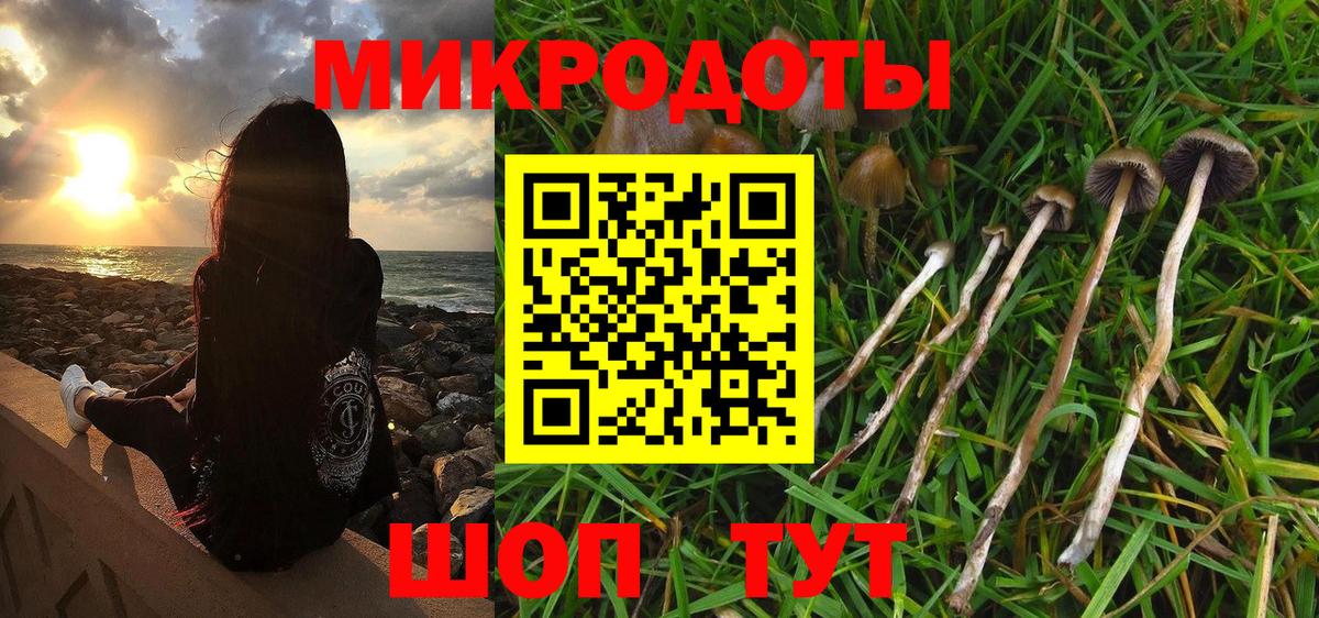 А ПВП Верхняя Пышма