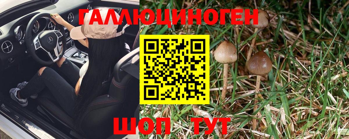 Галлюциногенные грибы Magic Shrooms Верхняя Пышма