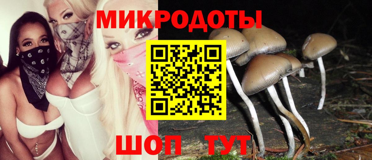 Галлюциногенные грибы мицелий  Вход с VPN  Галлюциногенные грибы GOLDEN TEACHER  Верхняя Пышма 