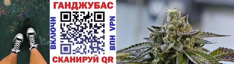 как найти закладки  Верхняя Пышма  Каннабис Ganja 